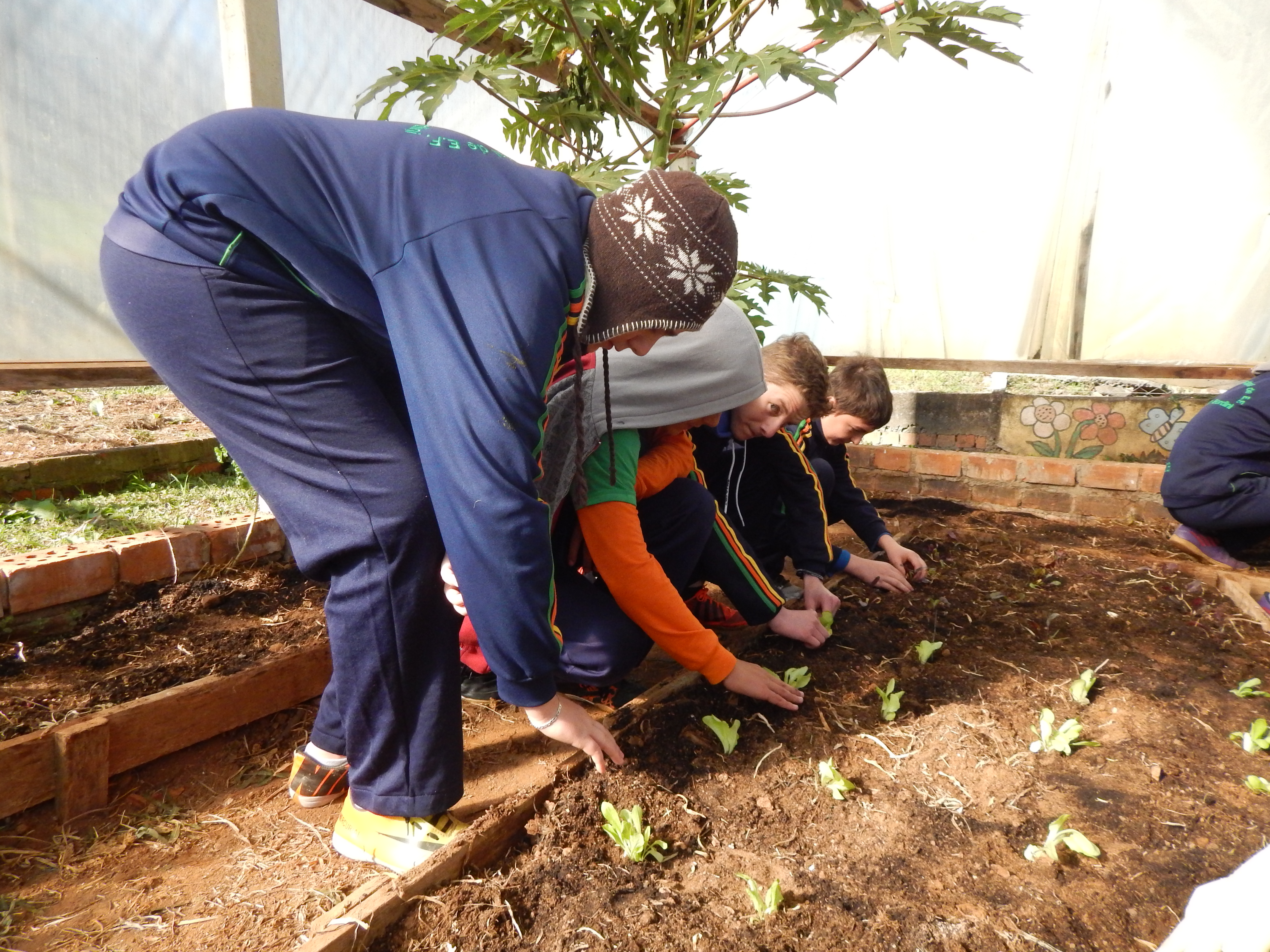 Santa Clara | Plantando o Bem