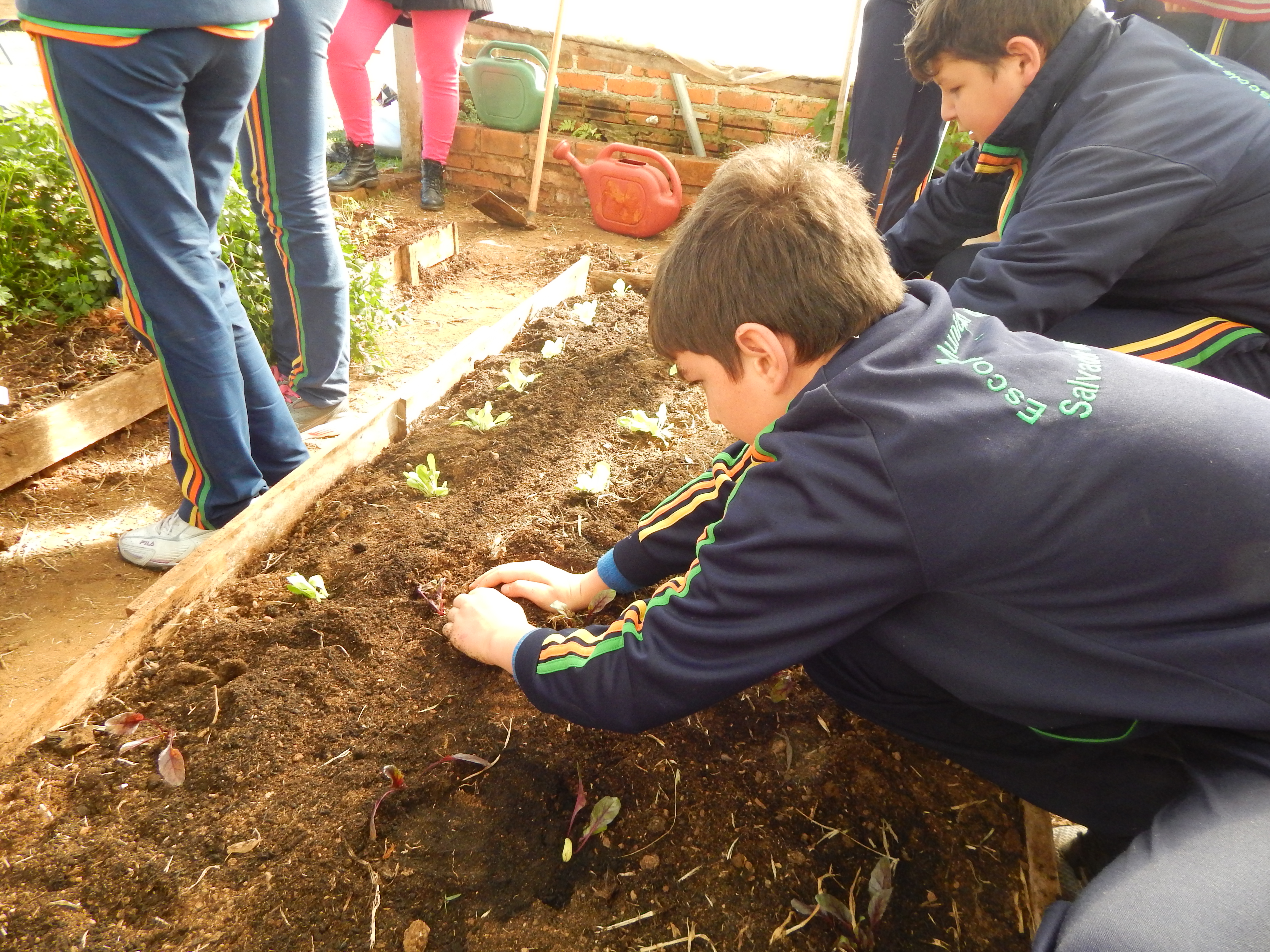 Santa Clara | Plantando o Bem