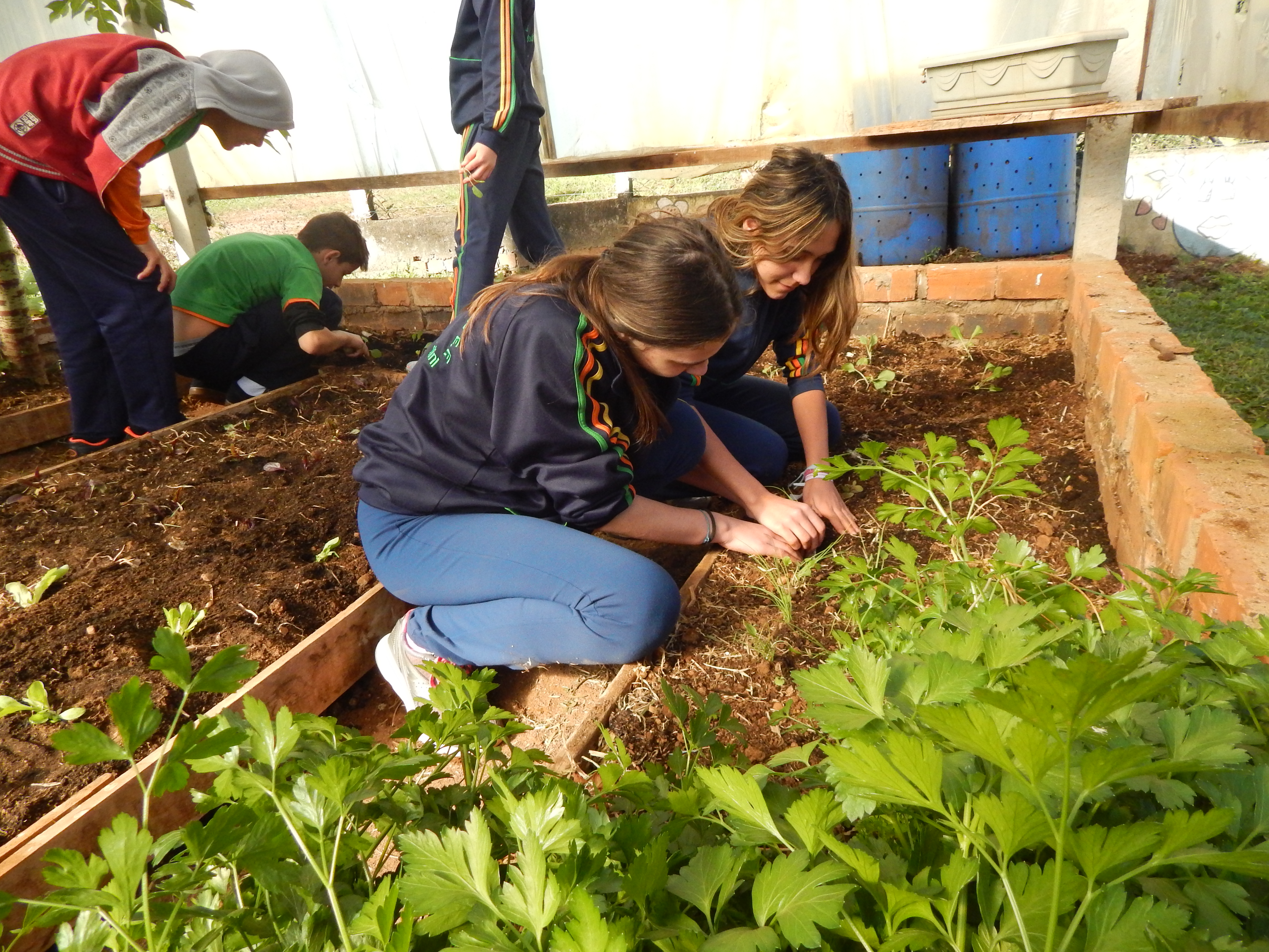 Santa Clara | Plantando o Bem