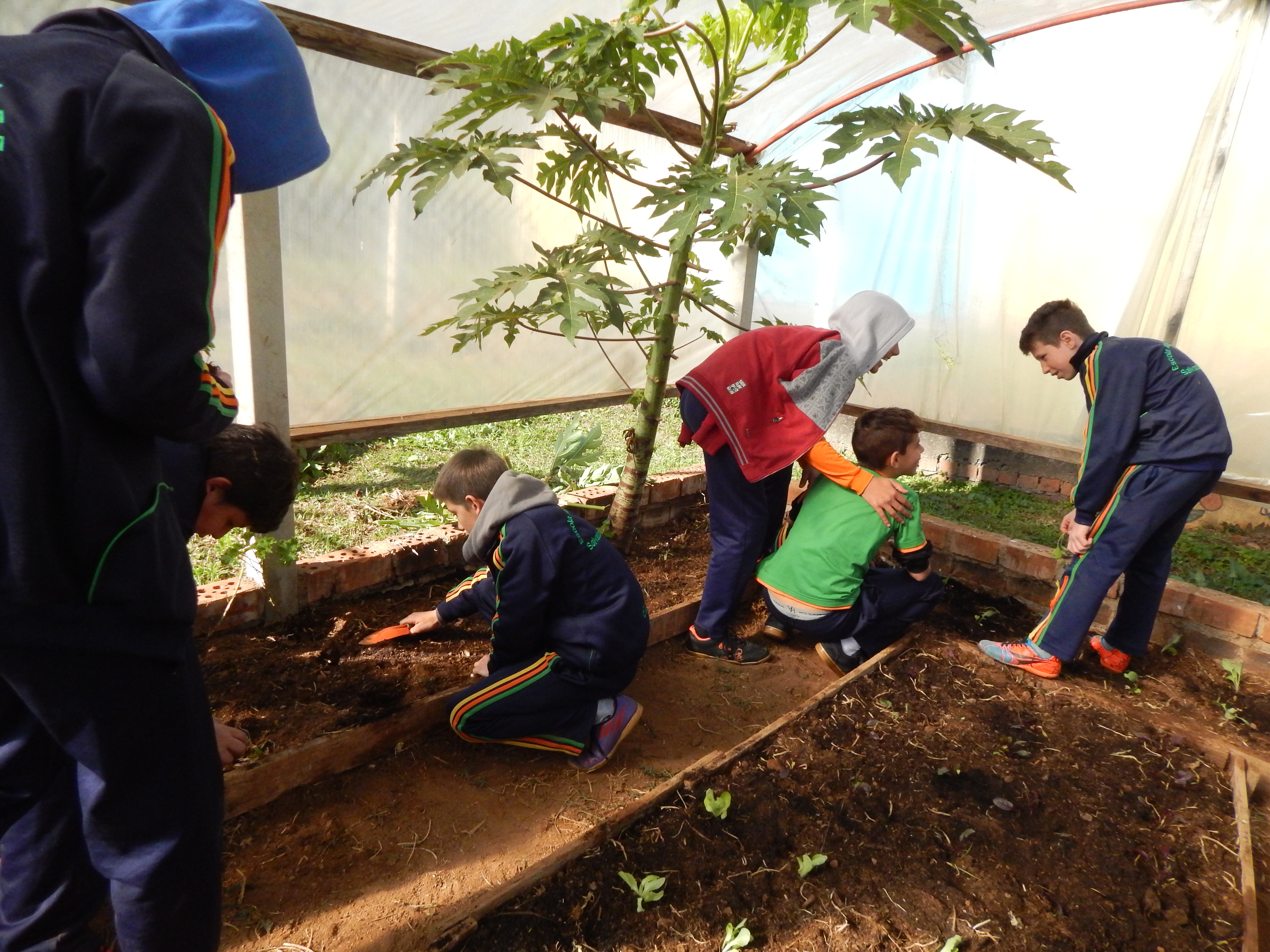 Santa Clara | Plantando o Bem