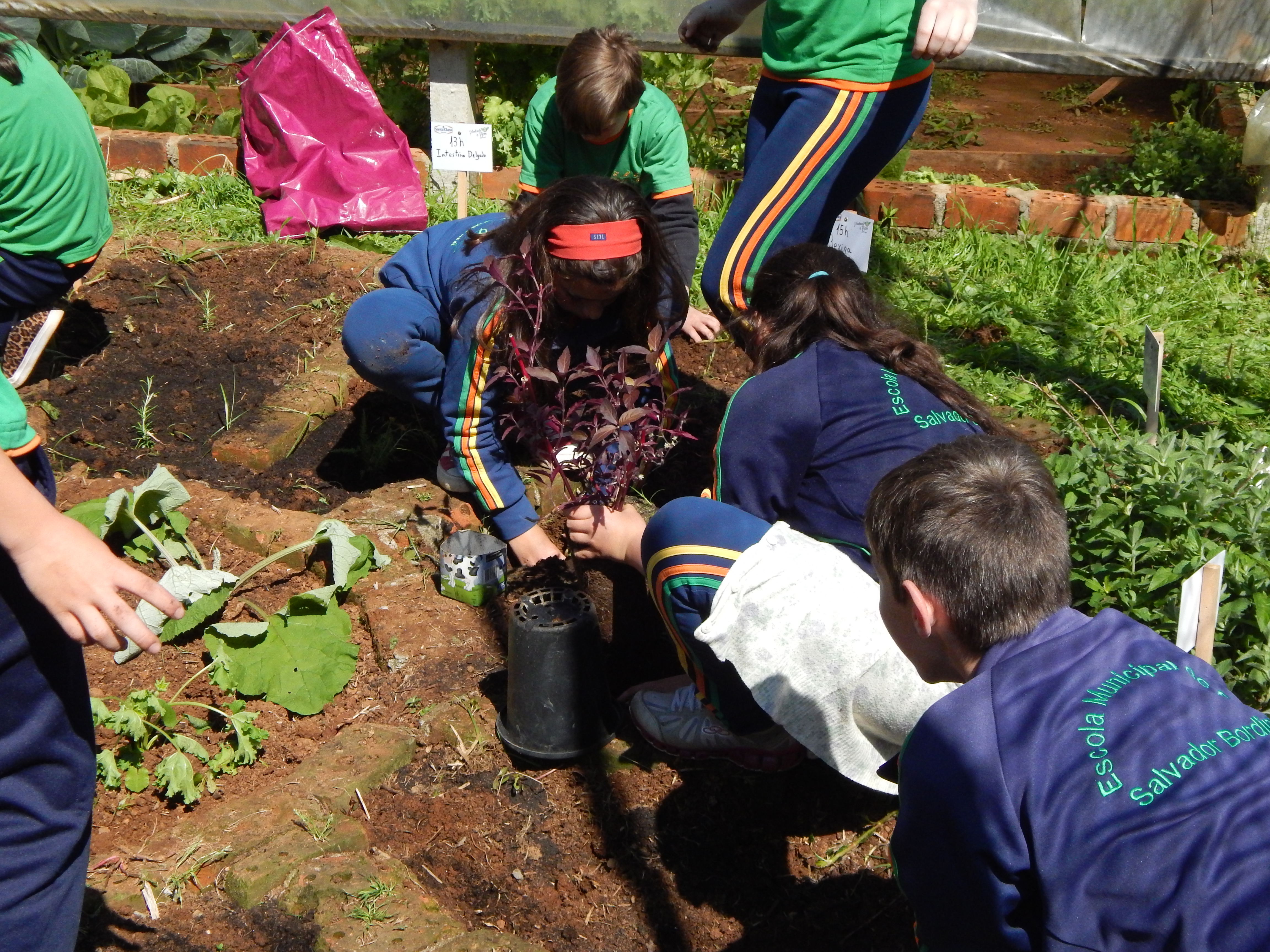 Santa Clara | Plantando o Bem