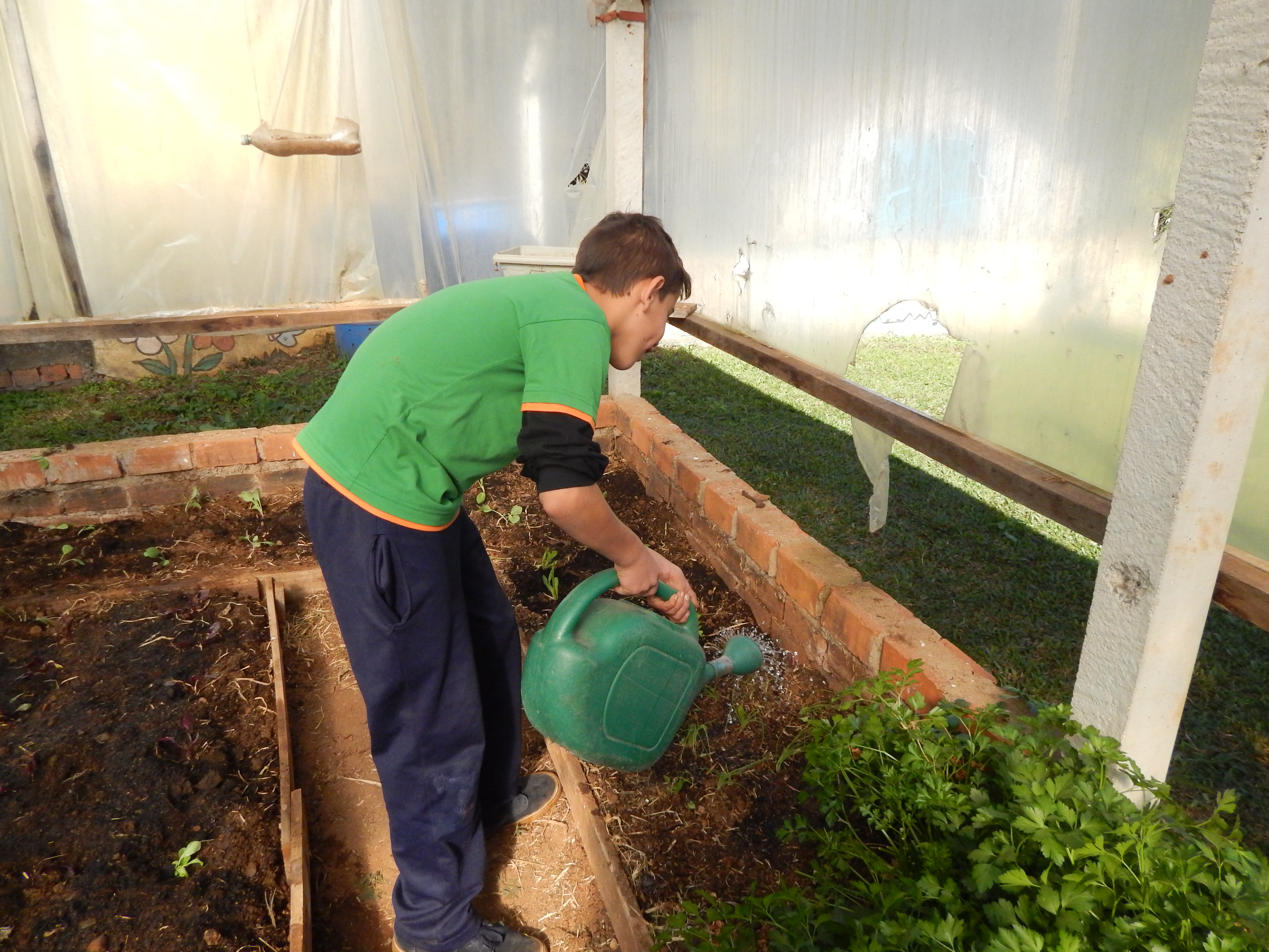 Santa Clara | Plantando o Bem