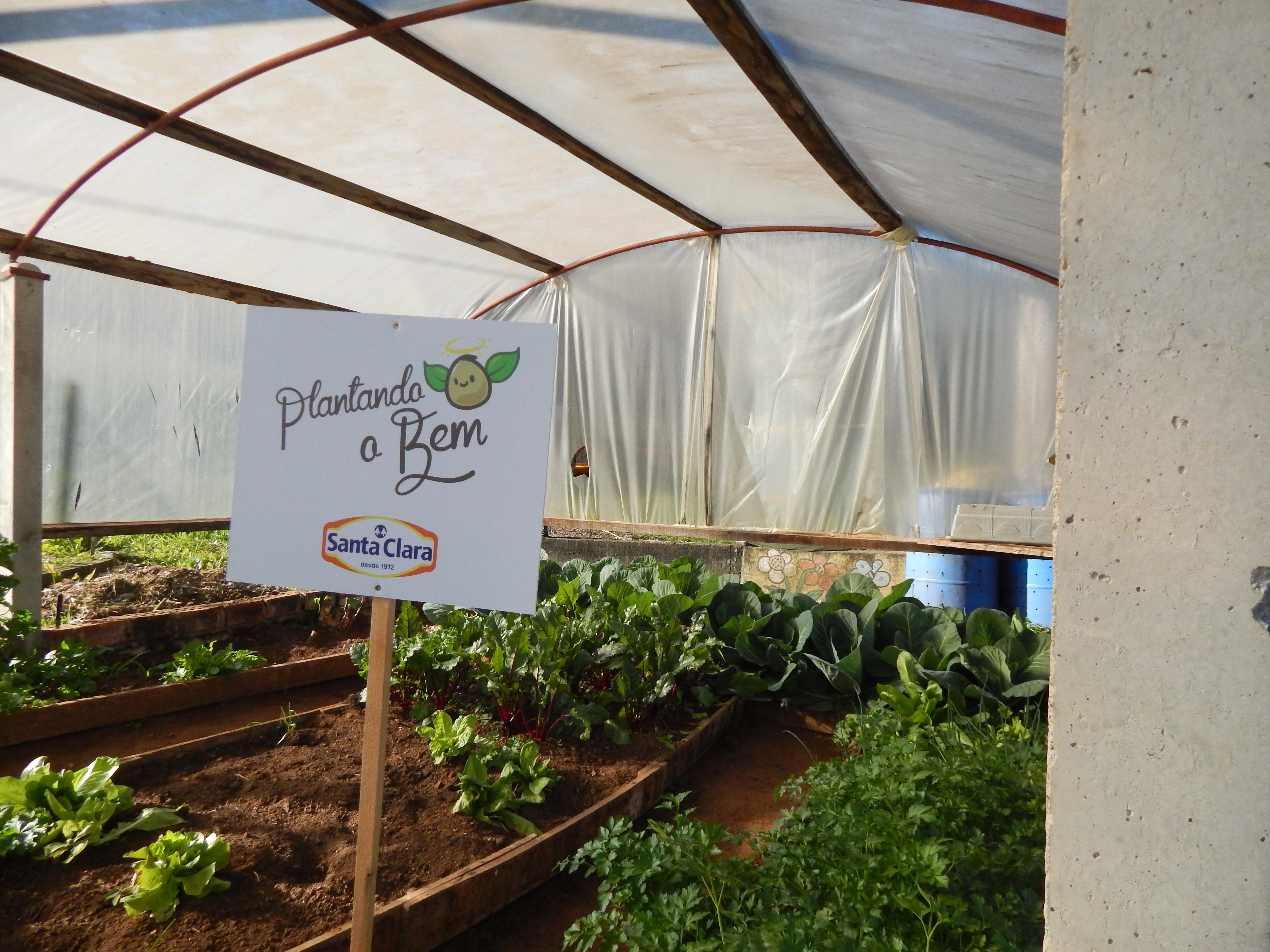 Santa Clara | Plantando o Bem