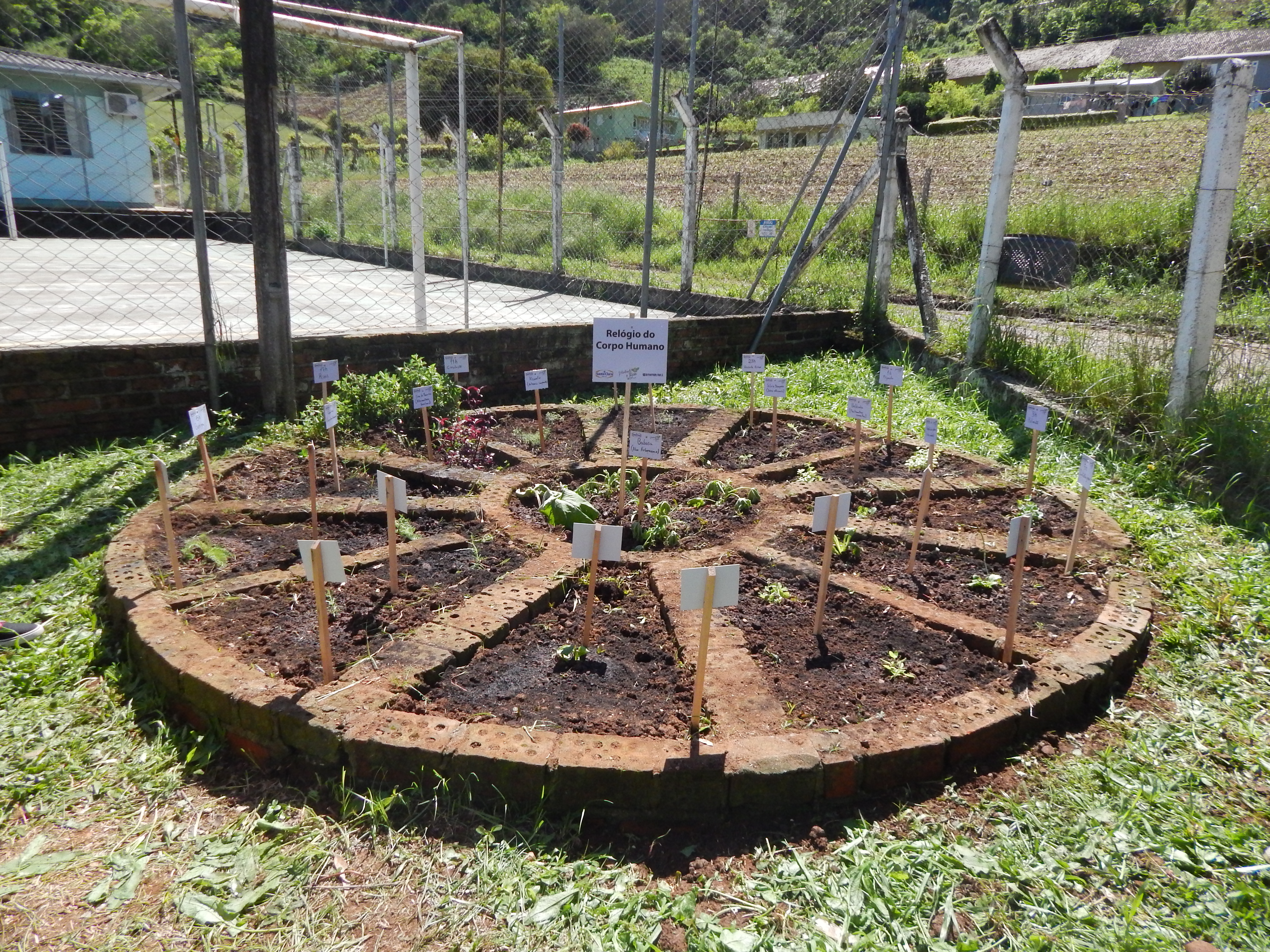 Santa Clara | Plantando o Bem