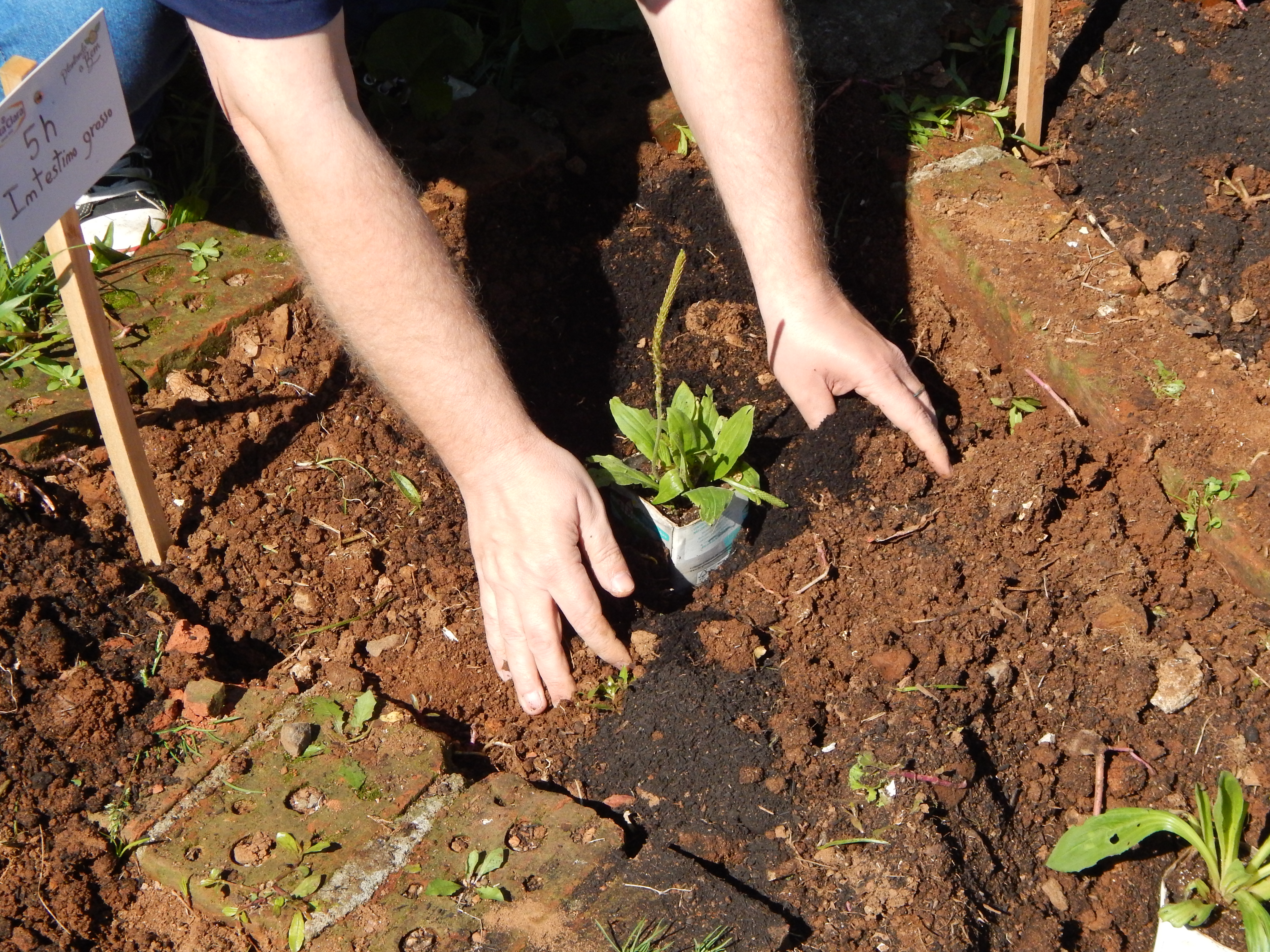 Santa Clara | Plantando o Bem