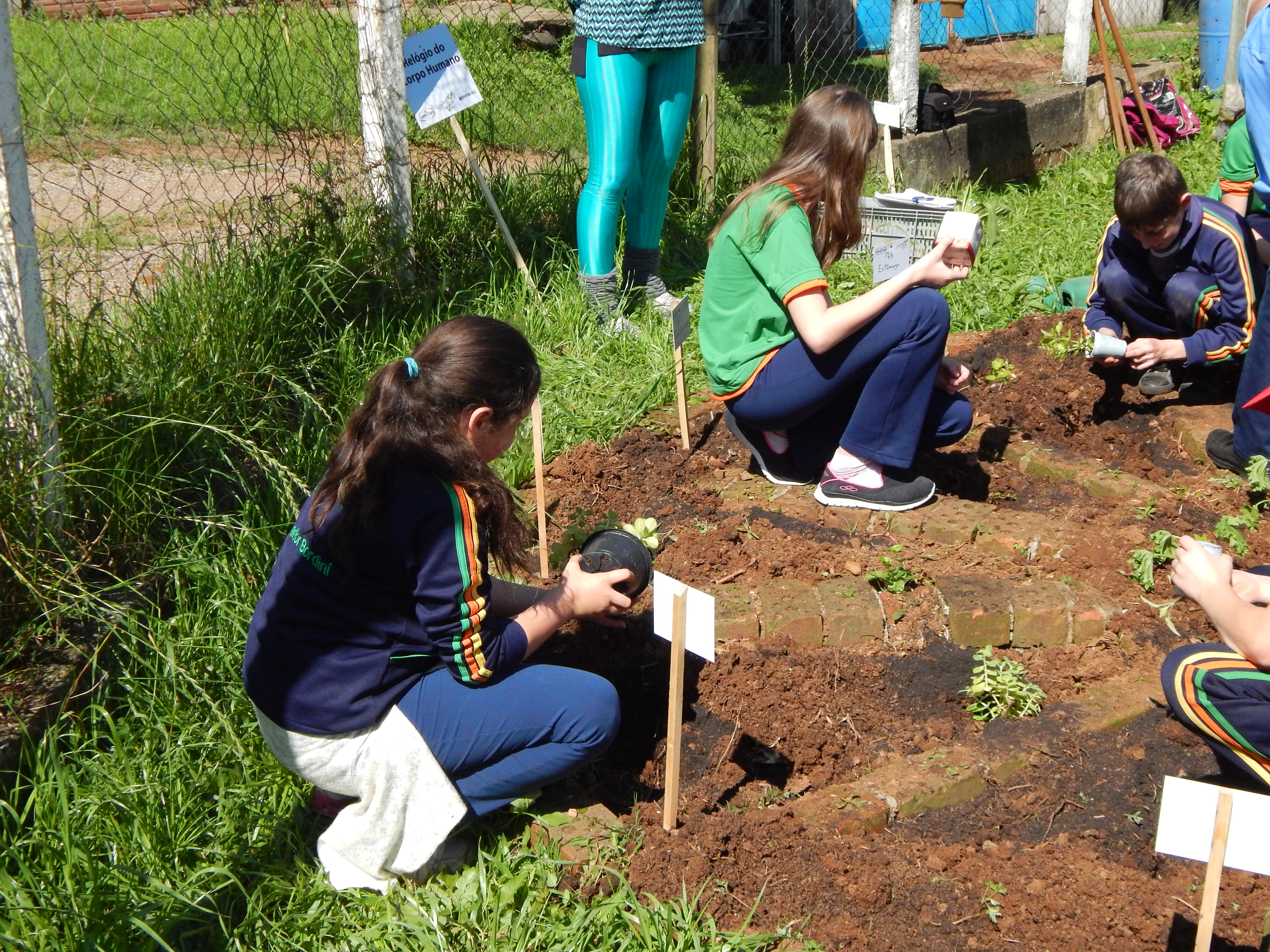 Santa Clara | Plantando o Bem