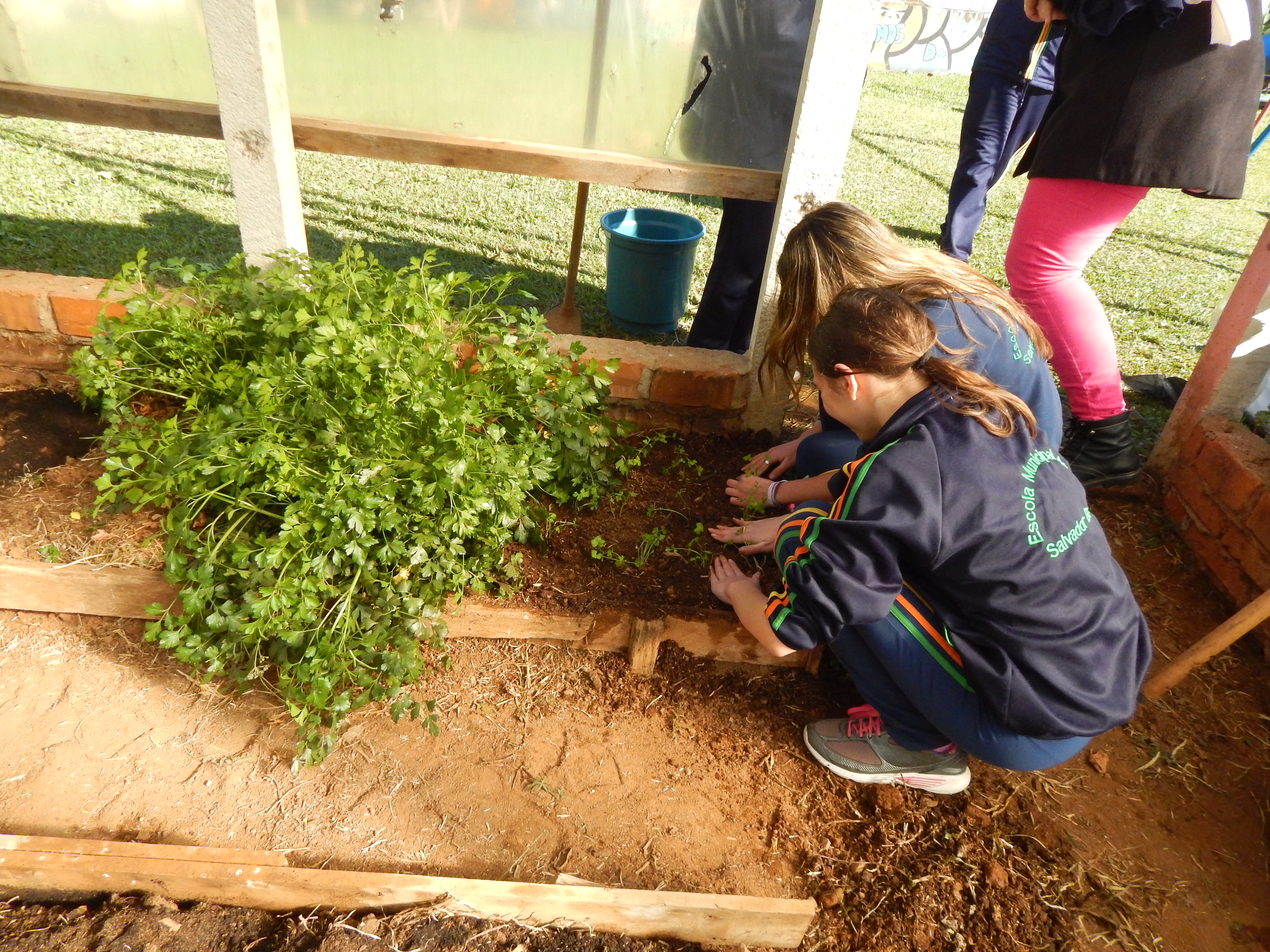 Santa Clara | Plantando o Bem