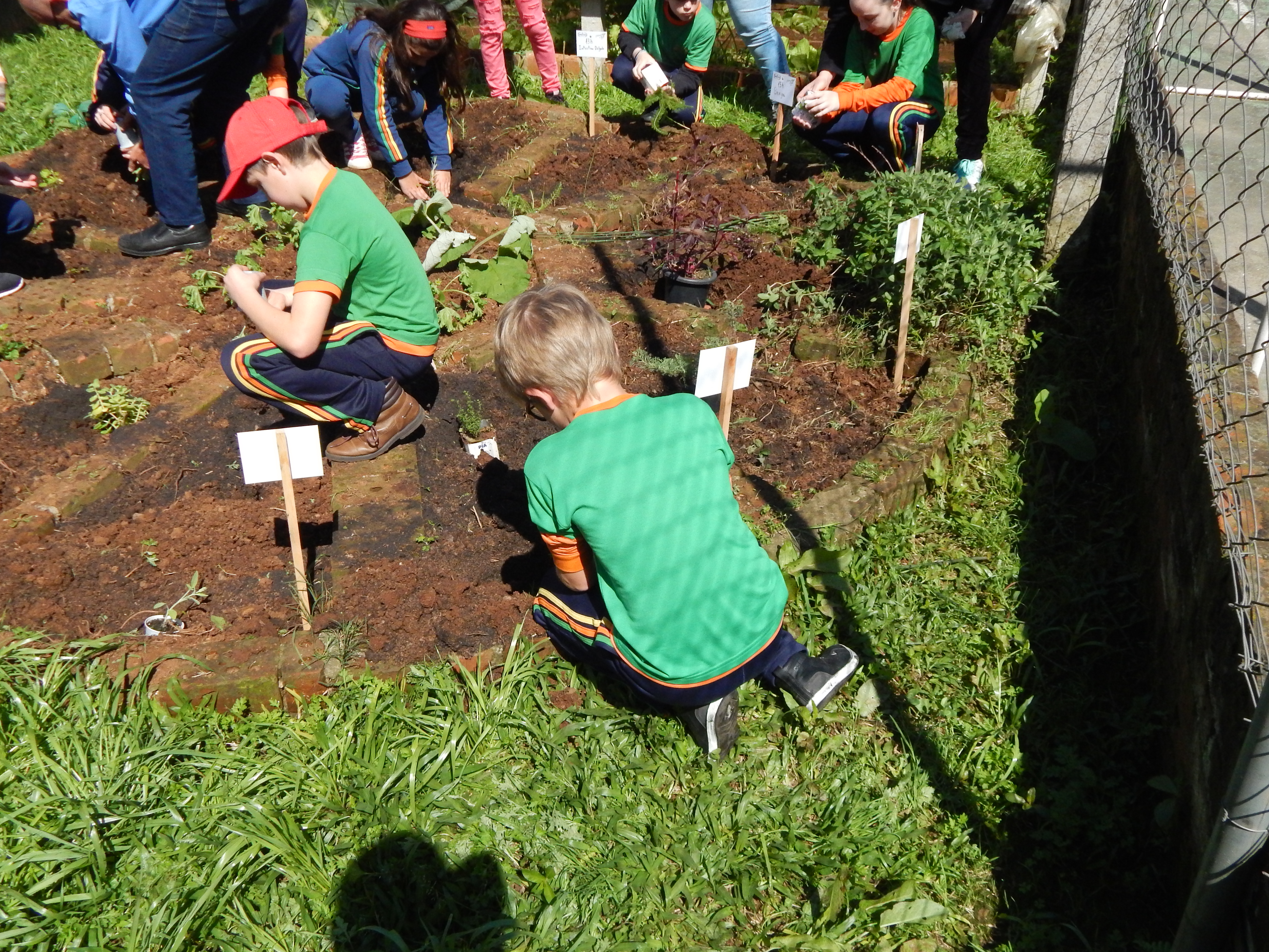 Santa Clara | Plantando o Bem