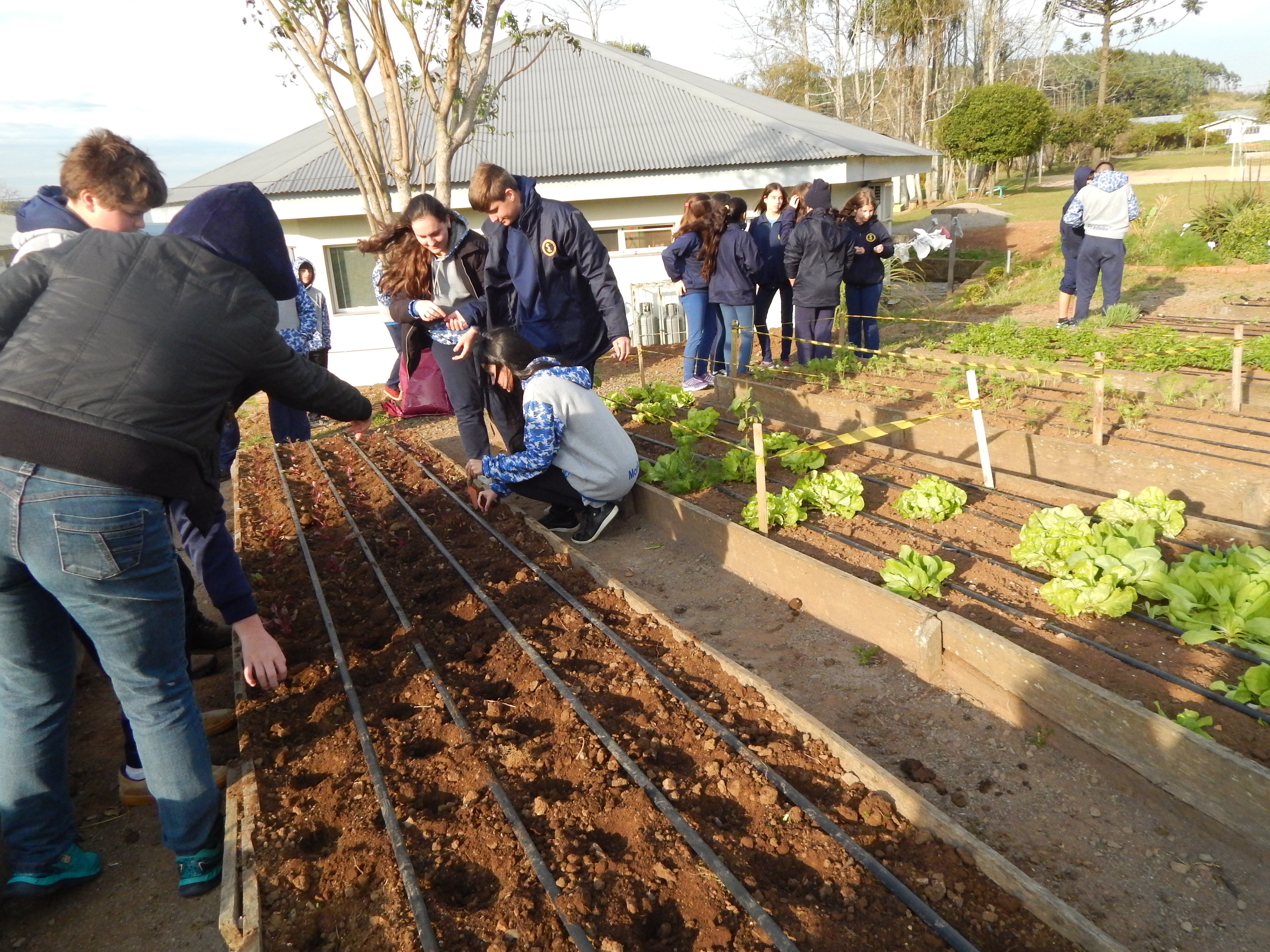 Santa Clara | Plantando o Bem