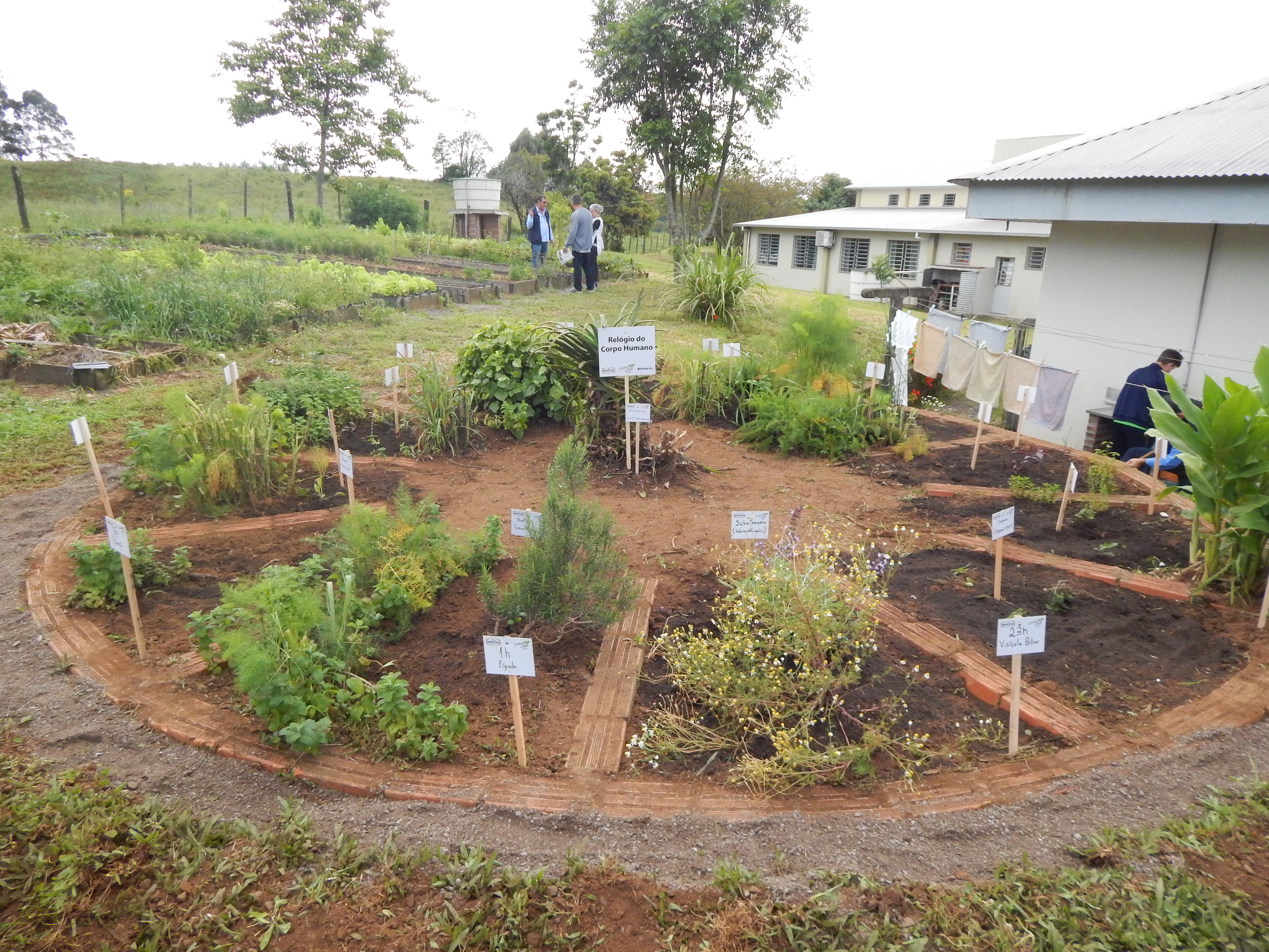 Santa Clara | Plantando o Bem