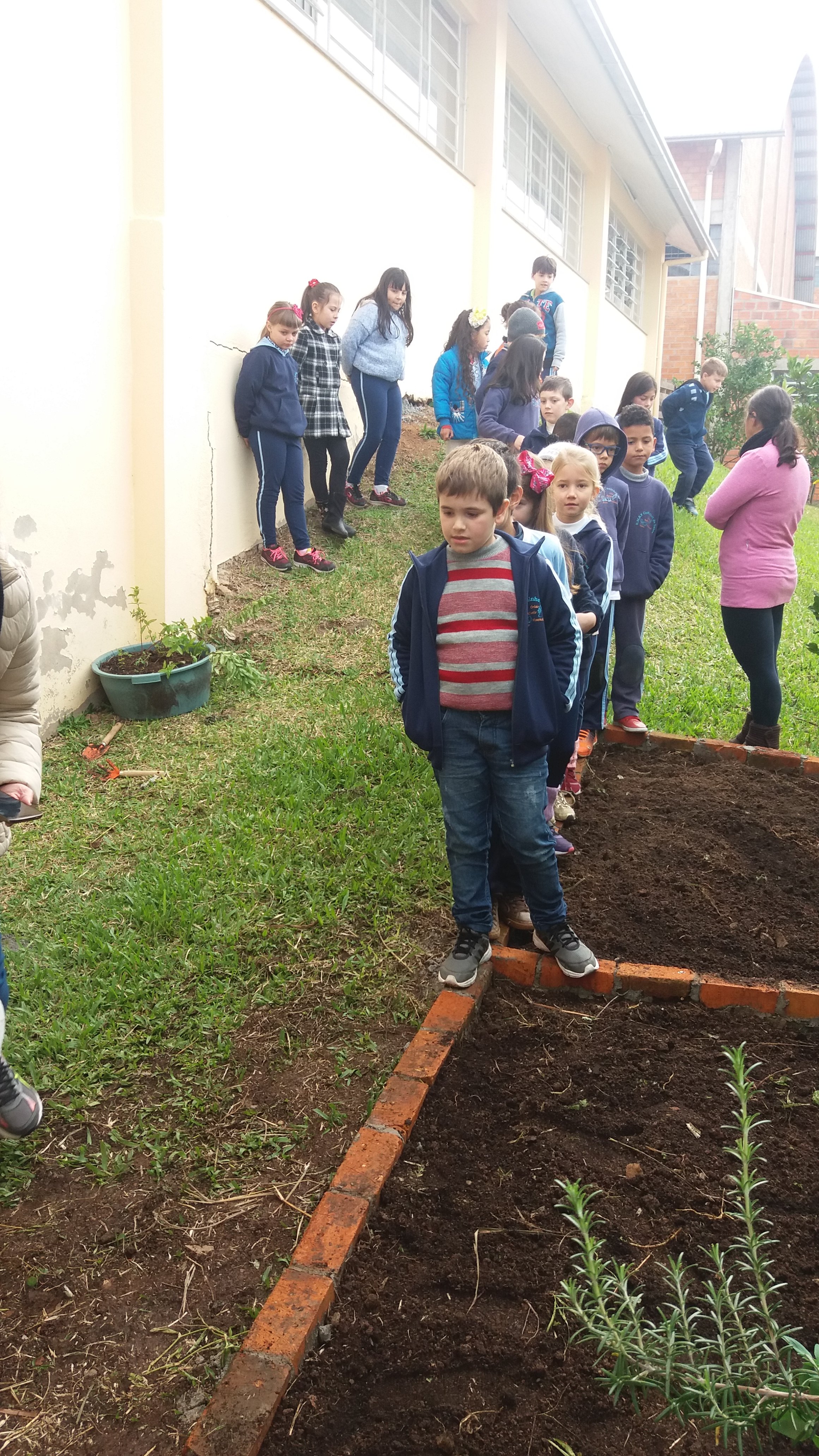Santa Clara | Plantando o Bem