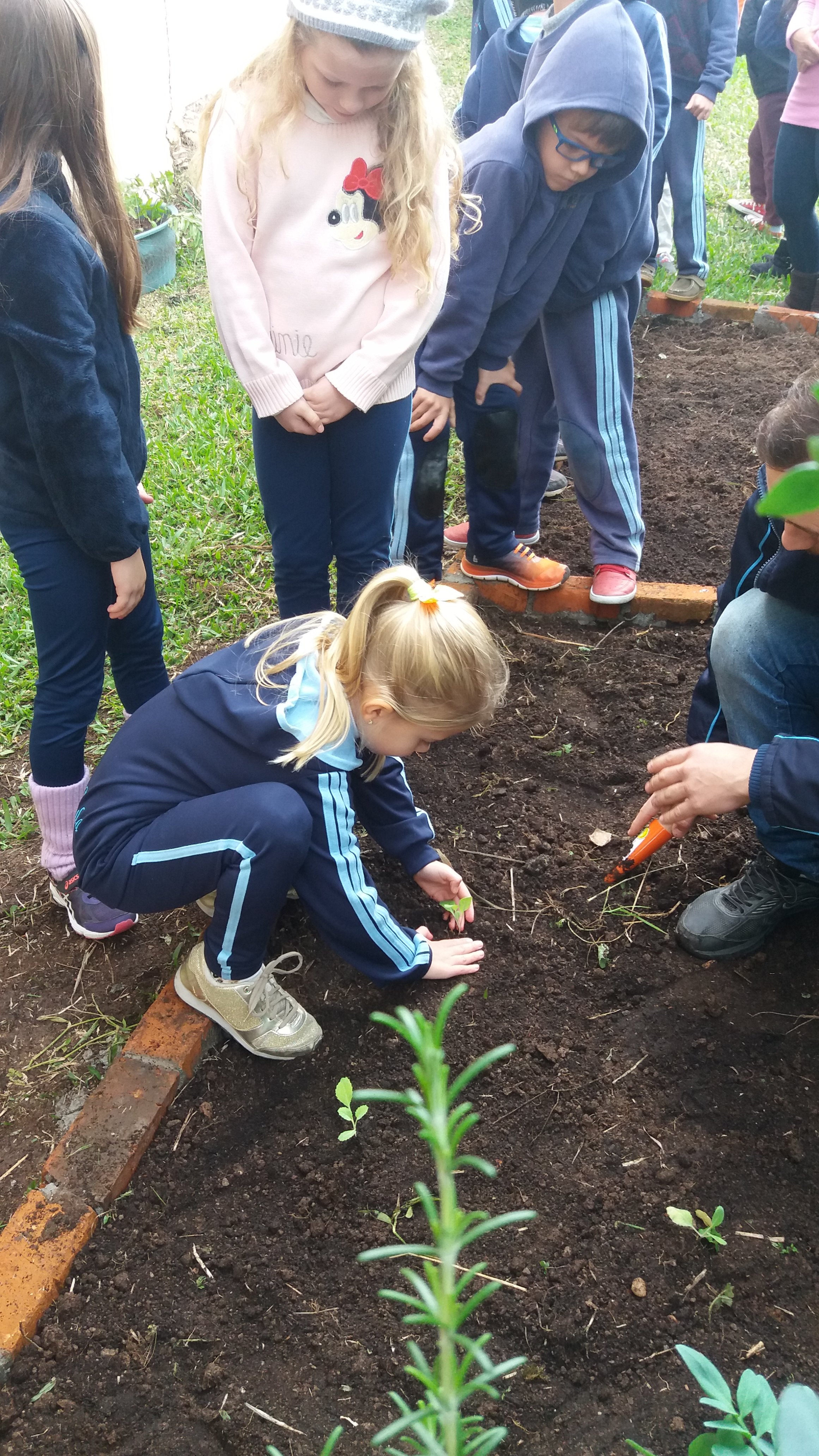 Santa Clara | Plantando o Bem