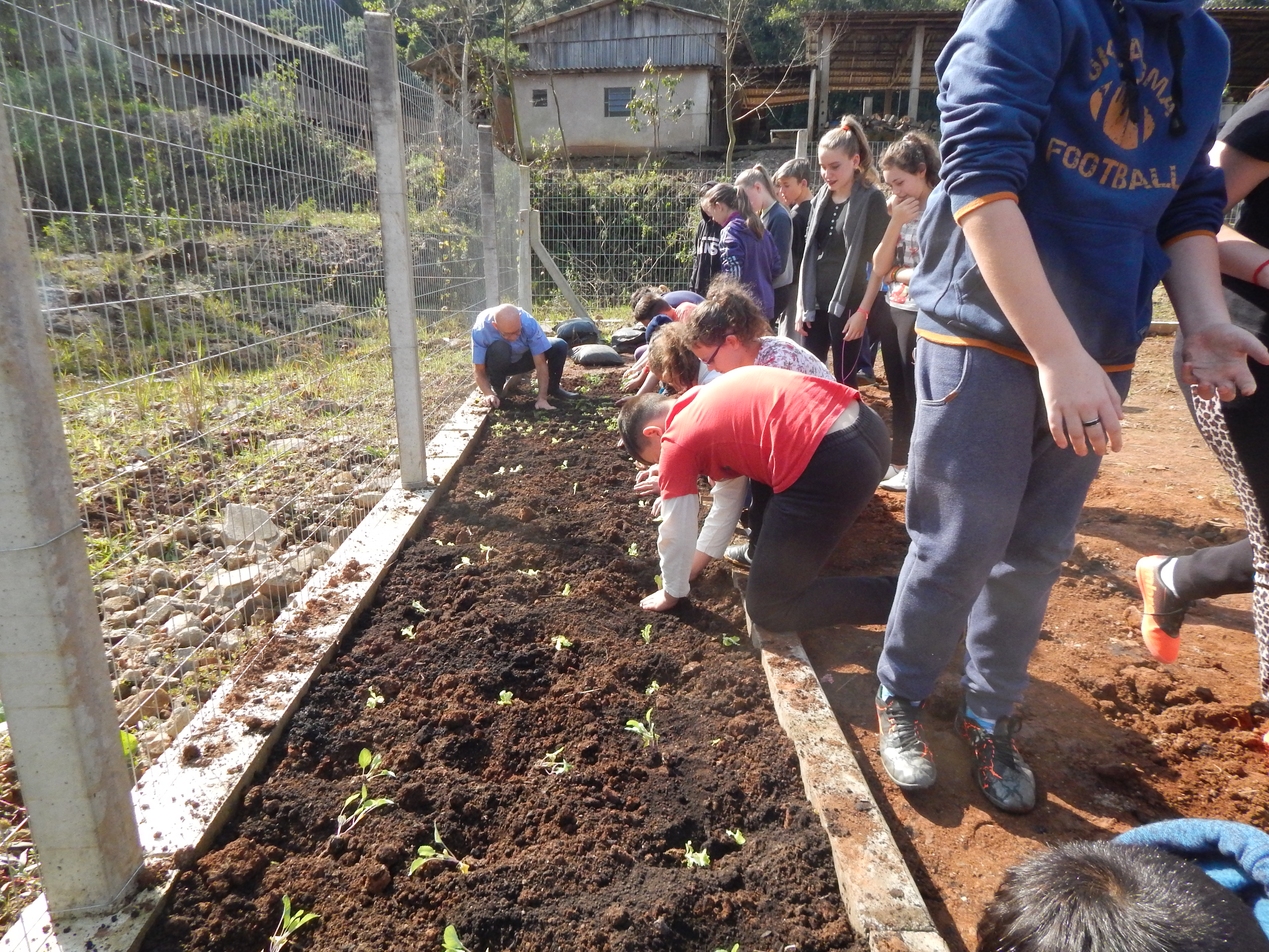 Santa Clara | Plantando o Bem