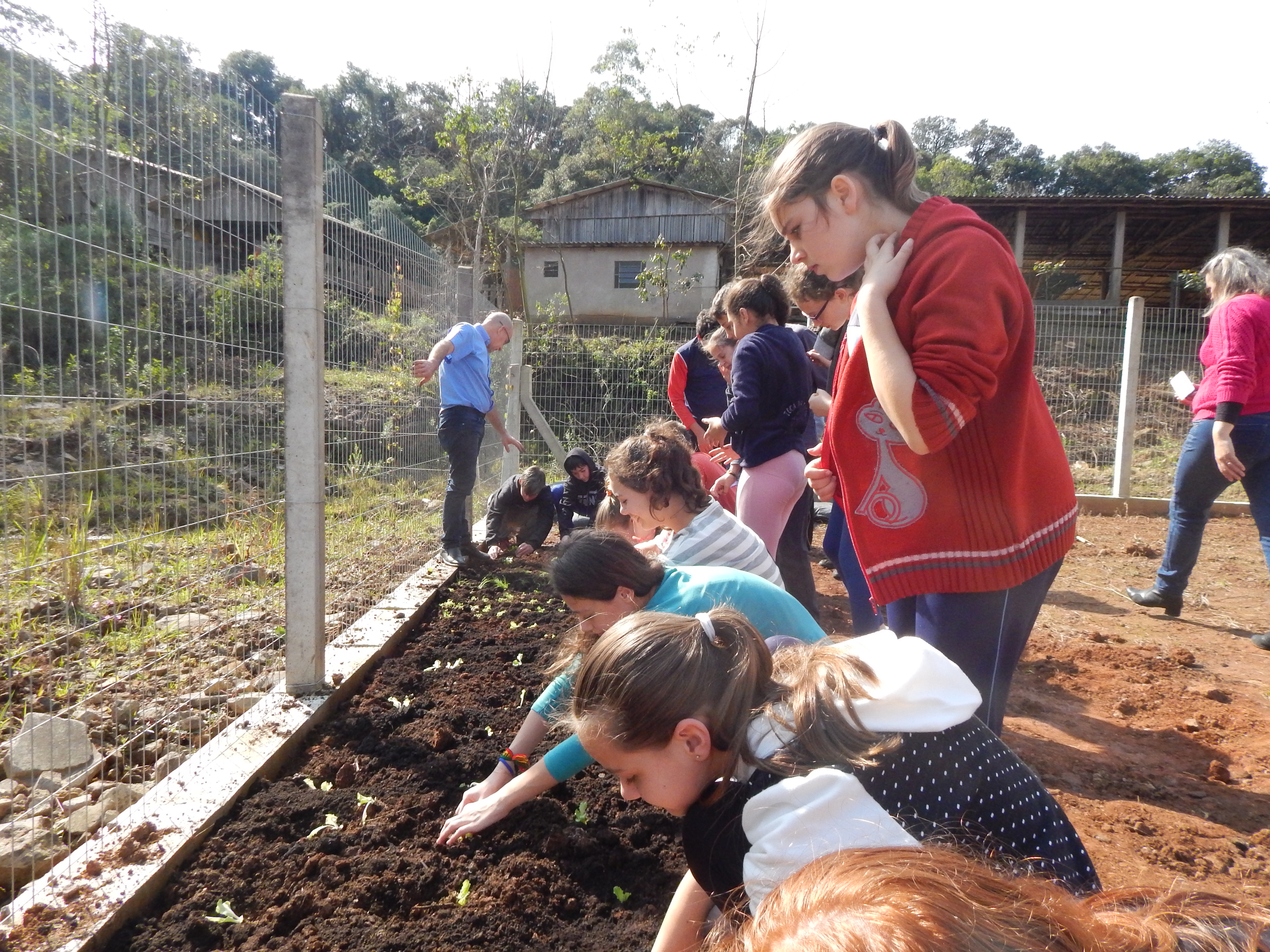 Santa Clara | Plantando o Bem