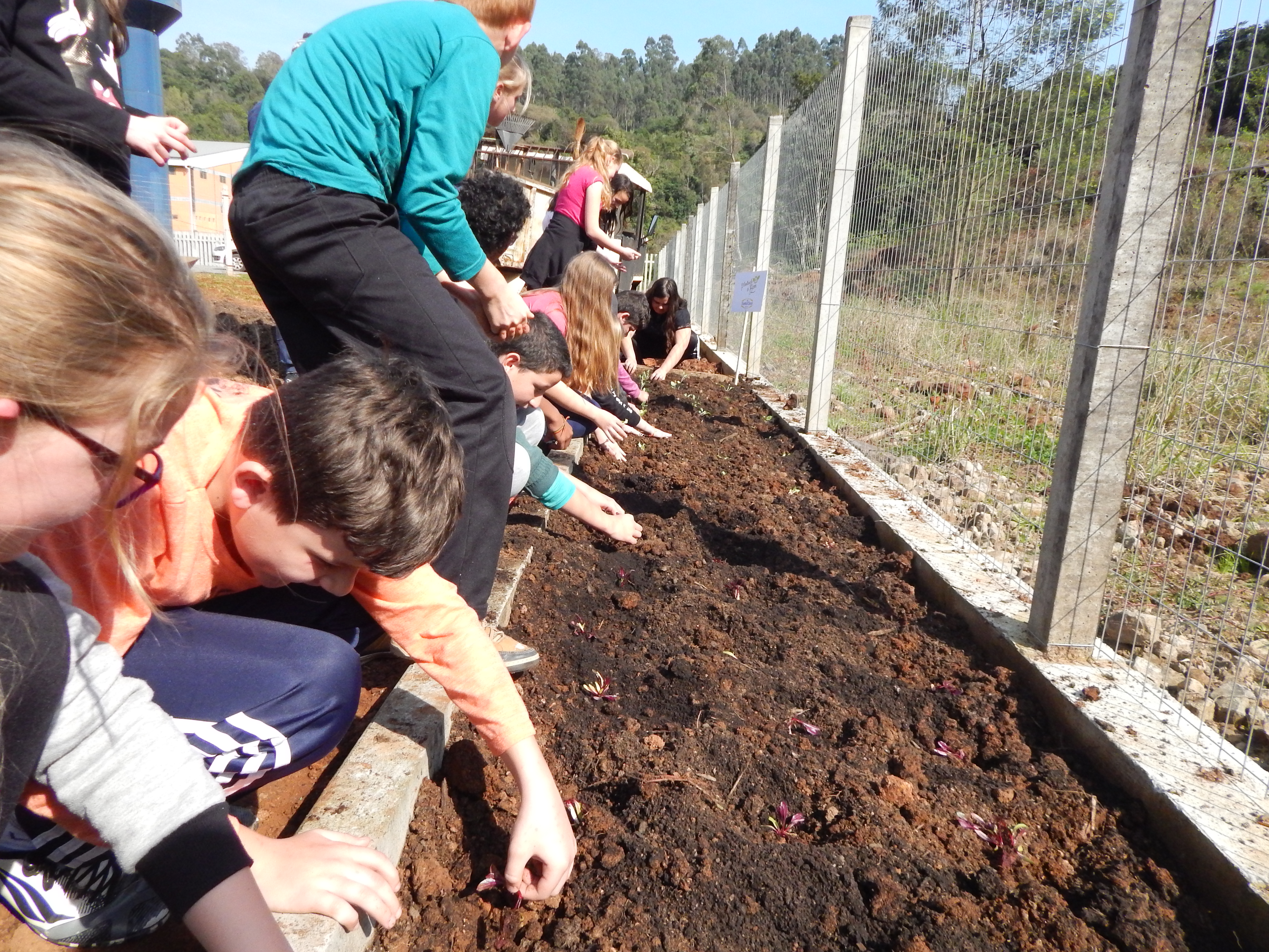 Santa Clara | Plantando o Bem